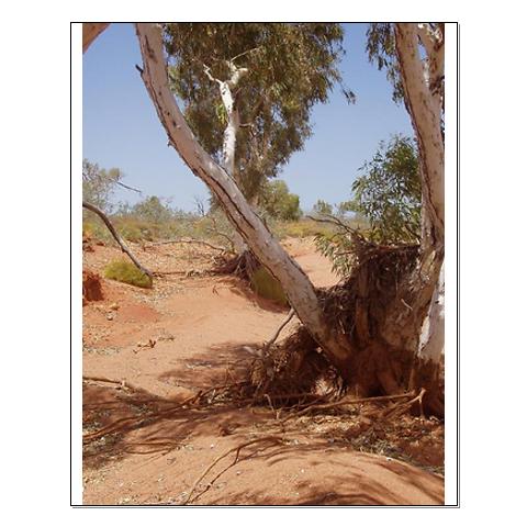 outback_australia_posters
